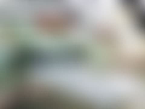 Party Tables Inc tent