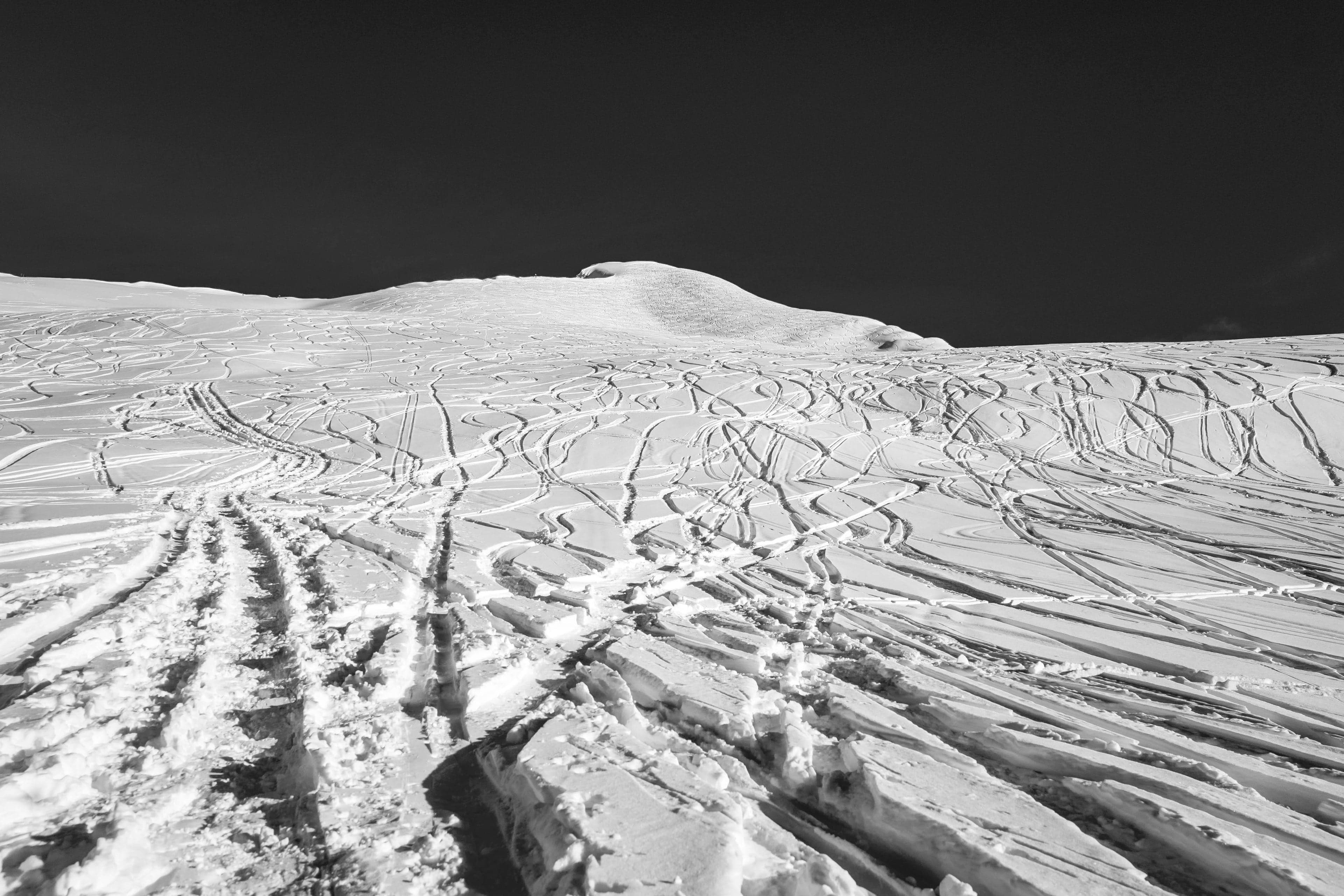 The Hoarding Marmot tent